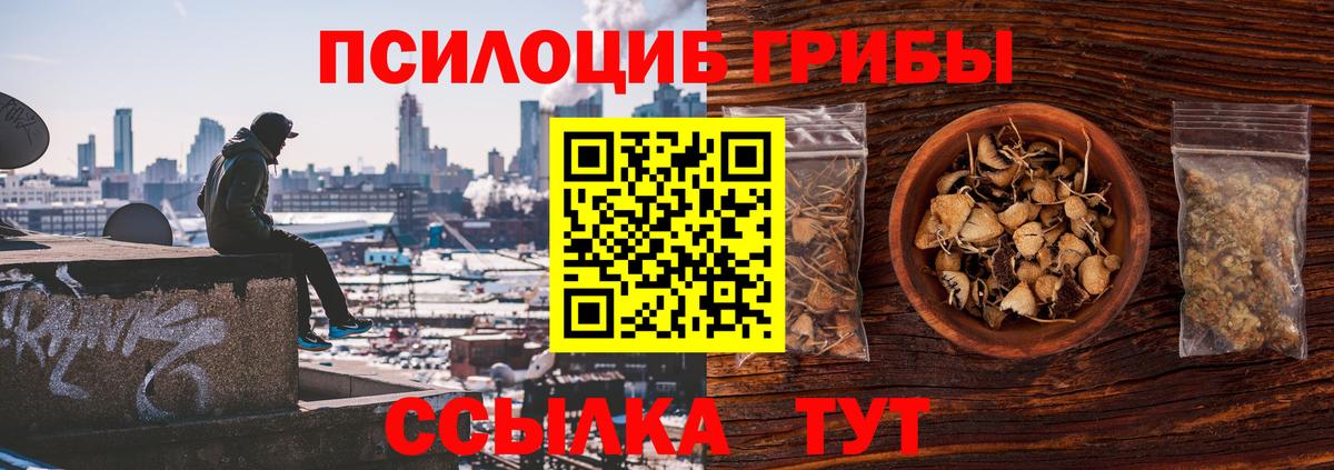 купить наркотик  Вход с VPN  Стрежевой  Псилоцибиновые грибы ЛСД 