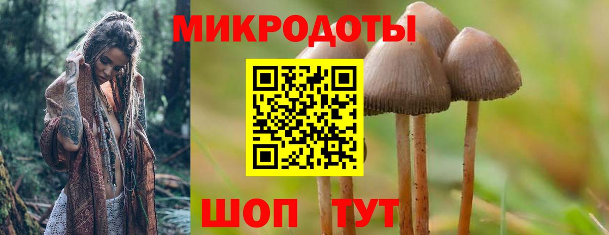 Псилоцибиновые грибы Magic Shrooms Стрежевой